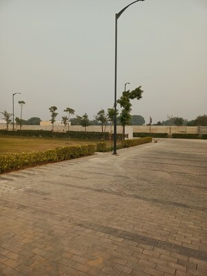 Plot Area in  Plot at Sector 78 – for Sale