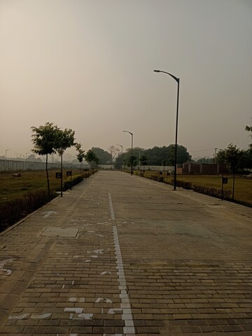 Plot Area in  Plot at Sector 78 – for Sale