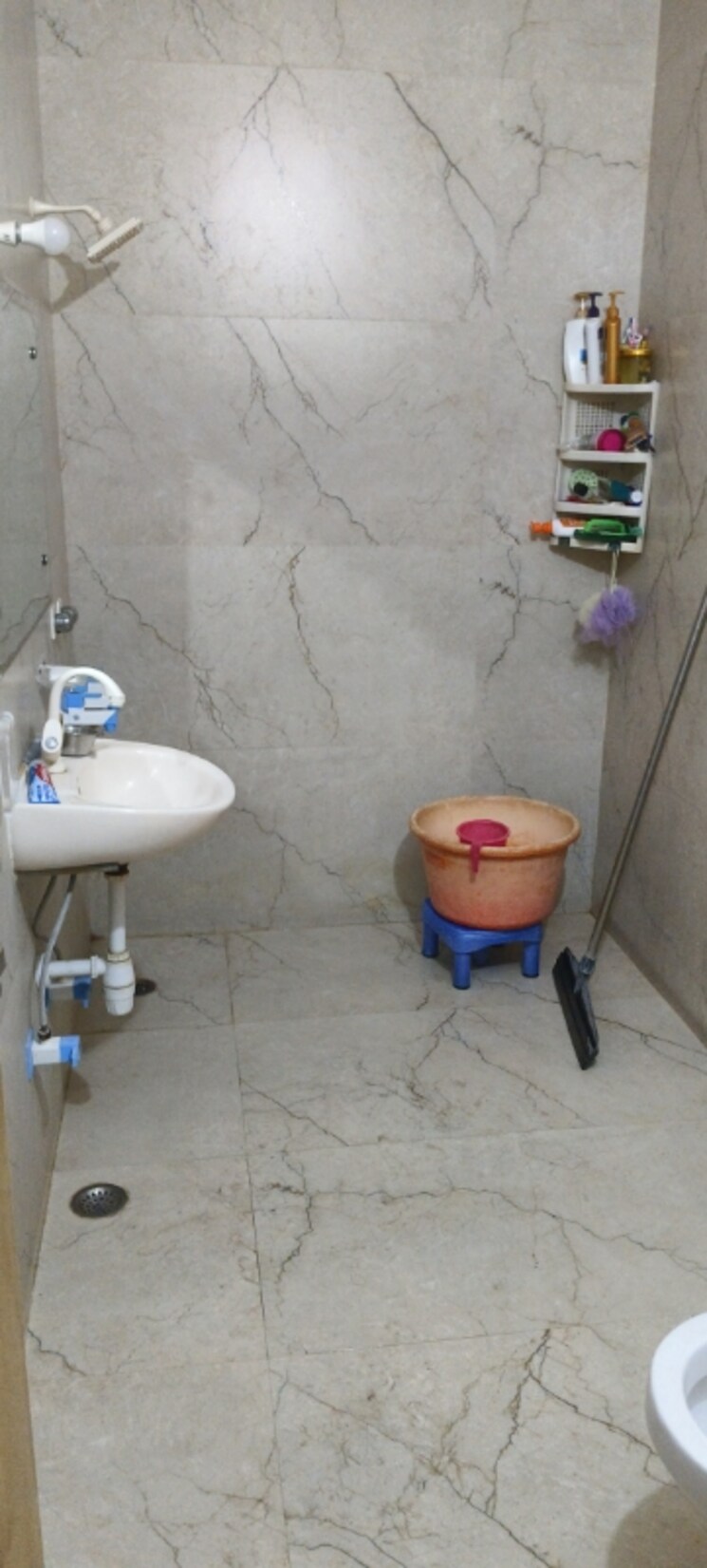 Bathroom, sector 11 3 Bedroom 250 Sq.Yd. Builder Floor In Sector 11 Faridabad 8866593