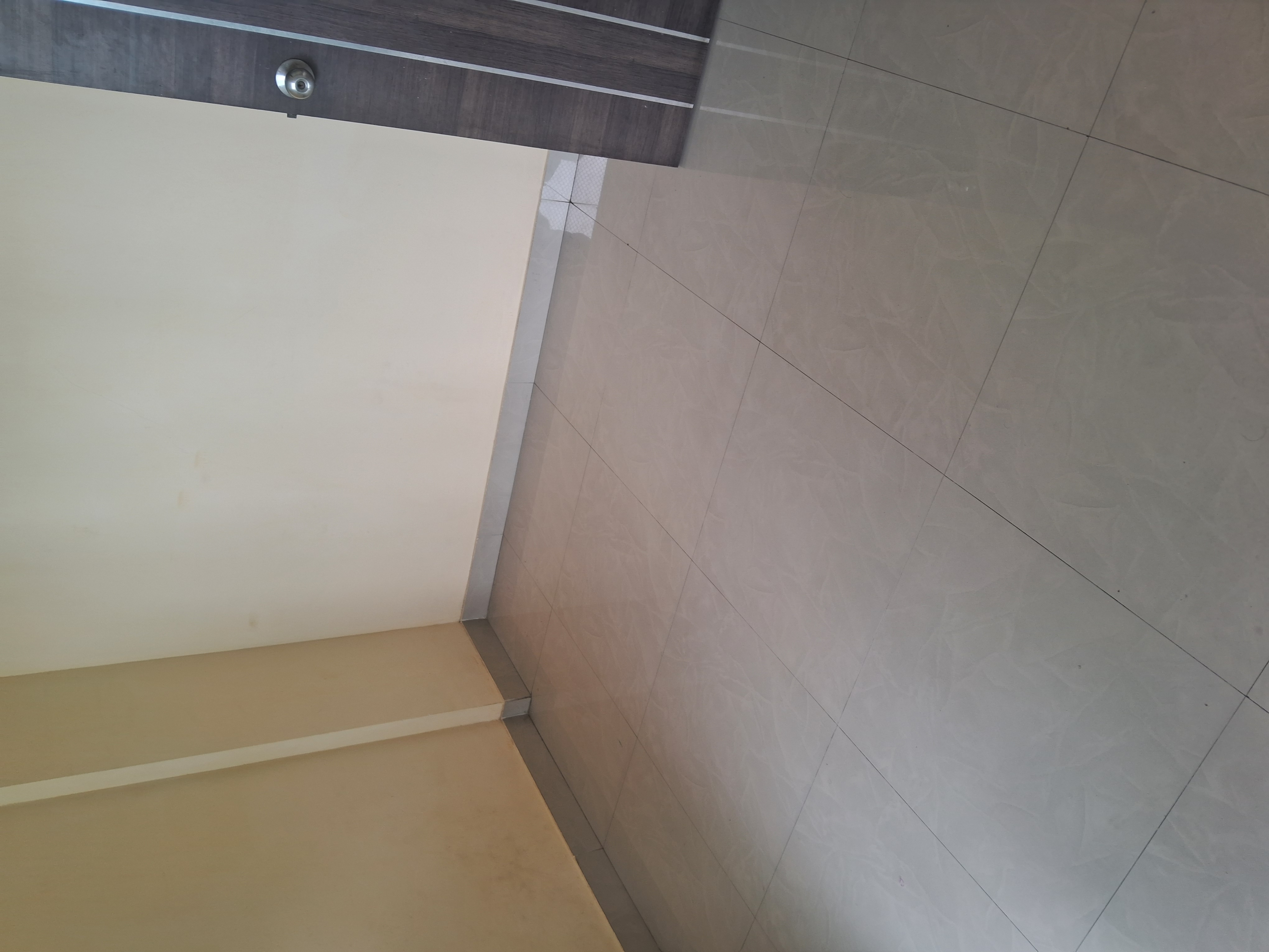 1 BHK Apartment For Sale in Ornate Galaxy