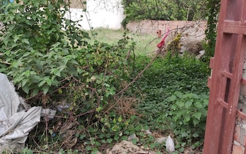 Plot For Sale in Sushant Lok Iii