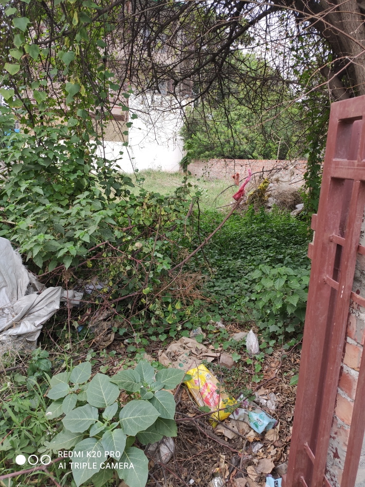 Plot For Sale in Sushant Lok III