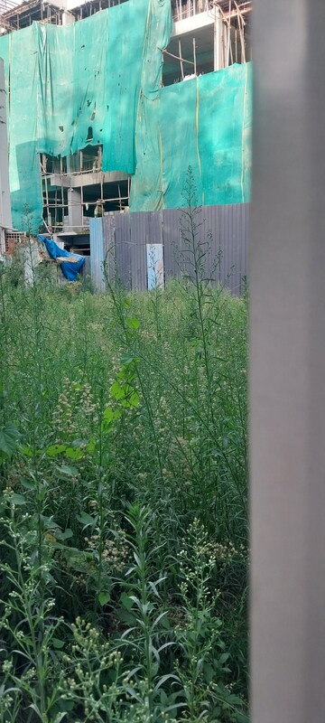 Plot Area in  Plot at Basavanagudi – for Sale