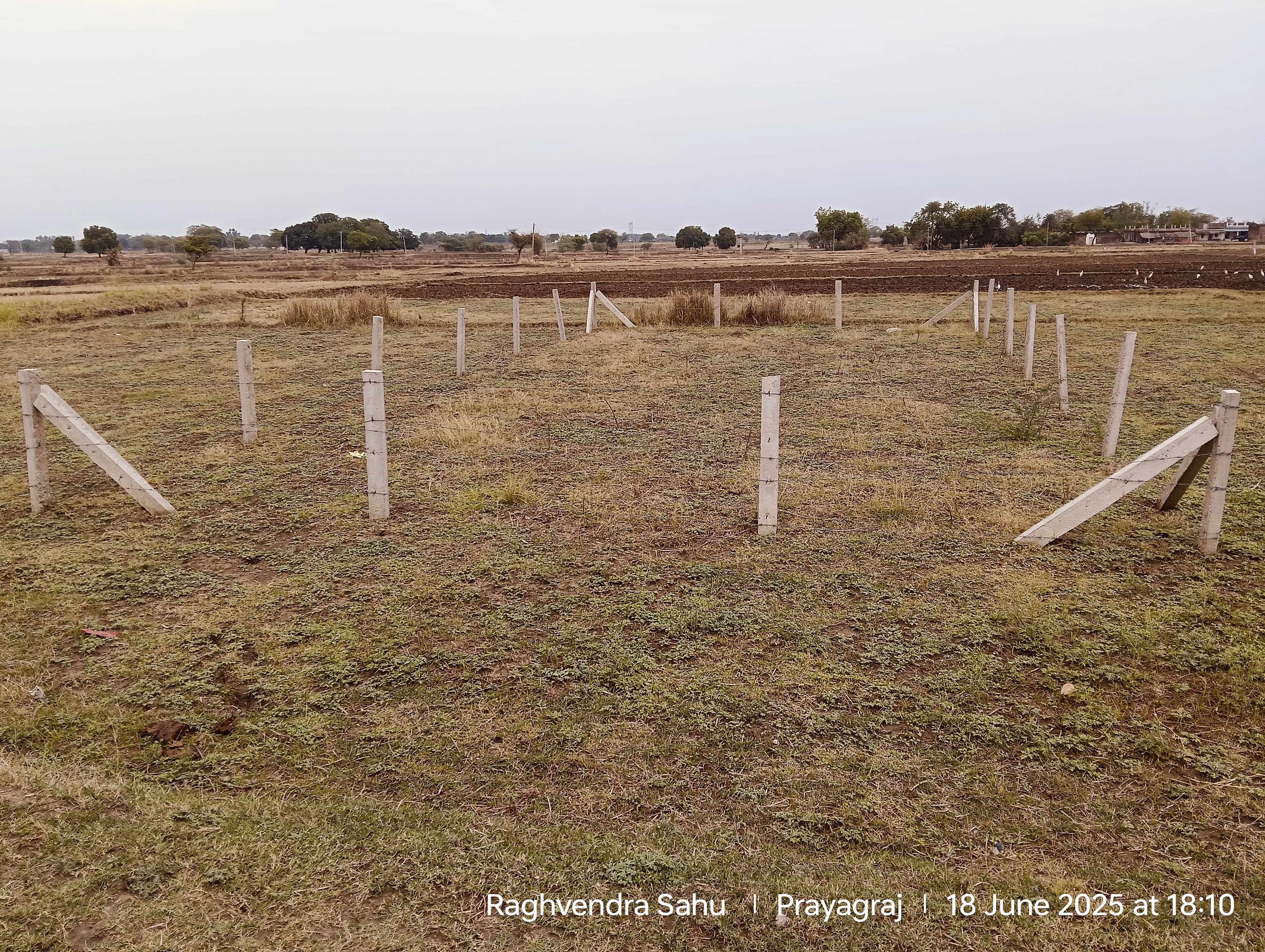Plot For Sale in Jari Market Near Gauhani 