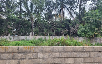 Plot For Sale in Doddagubbi