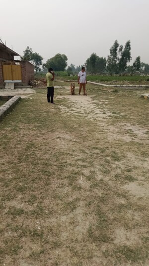  Plot – Exterior View View at Lalit Vihar, Faizabad Road - for Sale