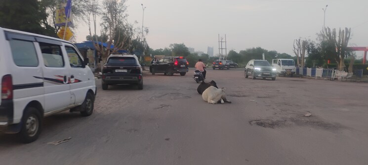 Exterior View, bptp-parklands  160 Sq.Yd. Plot In Sector 76 Faridabad 8867584