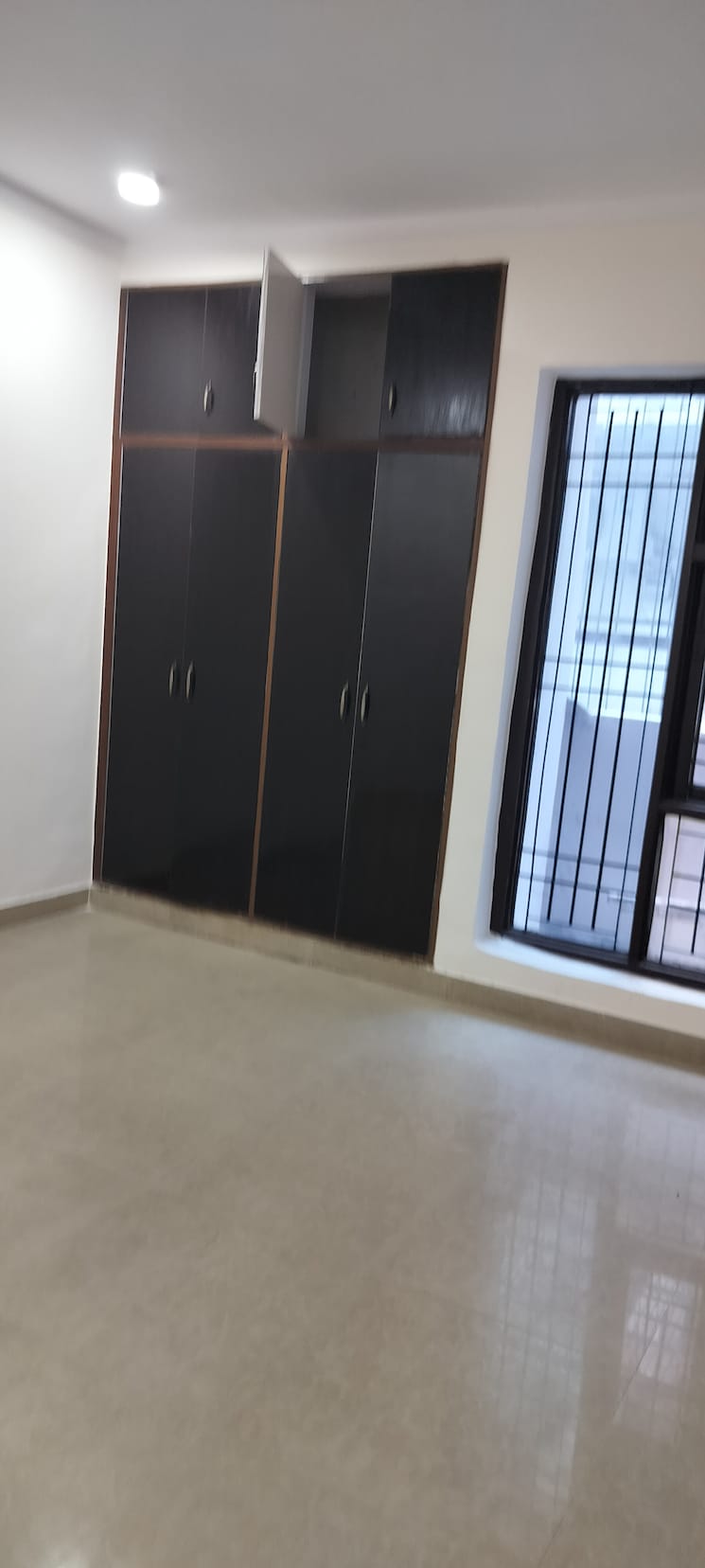 Room, tulip-mall 6+ Bedroom 200 Sq.Mt. Independent House In Sector 46 Noida 8867610