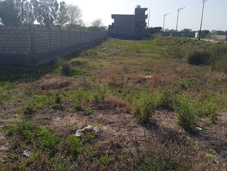 undefined, sector 110  500 Sq.Yd. Plot In Sector 110 Mohali 8868044