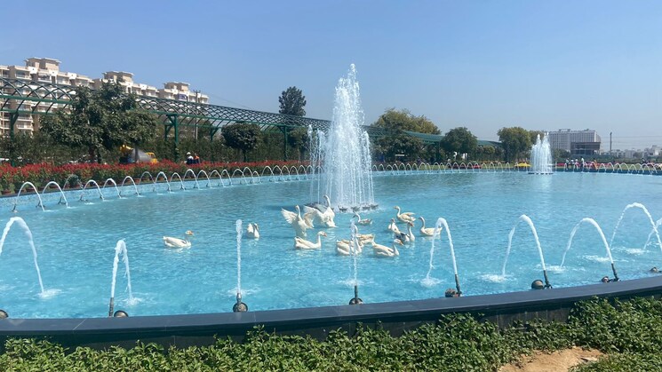 Swimming Pool, central-park-cerise-suites 2.5 Bedroom 1210 Sq.Ft. Builder Floor In Sohna Sector 33 Gurgaon 8868131