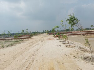 Plot Area in  Plot at Raebareli Road – for Sale