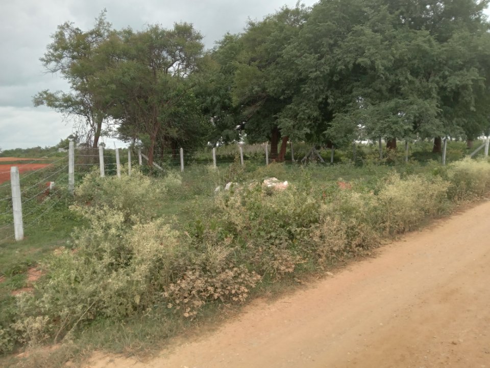 Plot For Sale in Samruddhi Green City