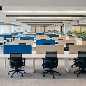  Shop For Sale in Migsun Alpha Central, Recreational Green 1 To 5 Greater Noida