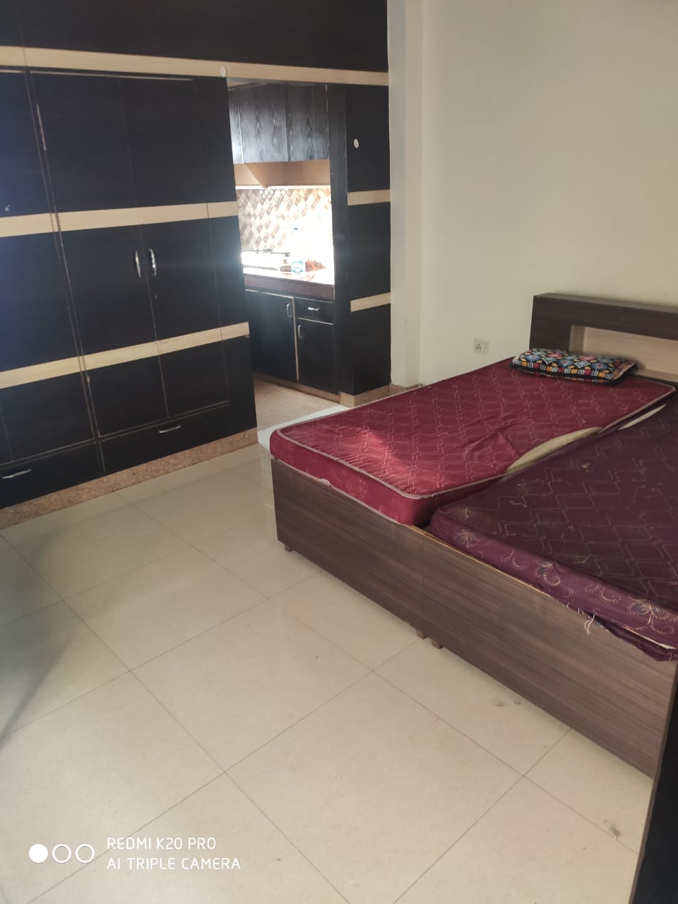 2 BHK Builder Floor For Rent in Sector 55