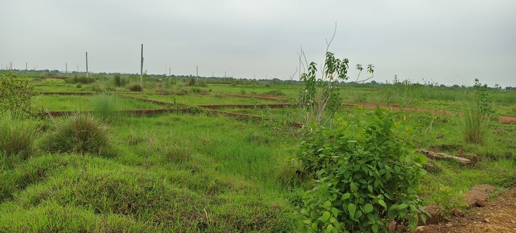 undefined, patrapada  1509 Sq.Yd. Plot In Patrapada Bhubaneswar 8869753