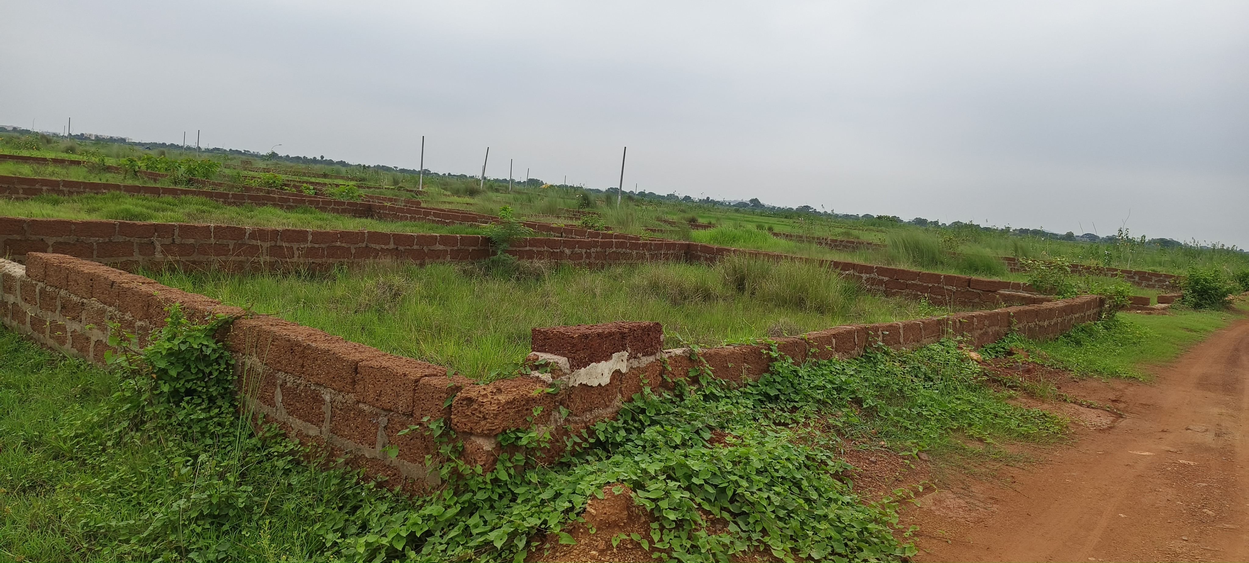 Plot For Sale in ORO Avenue