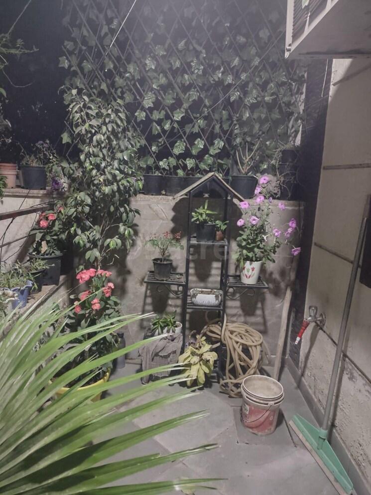 Balcony, sector 43 3 Bedroom 204 Sq.Yd. Builder Floor In Sector 43 Gurgaon 8869977