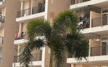 2 BHK Apartment For Rent in Eureka Diya Green City, Sikrod