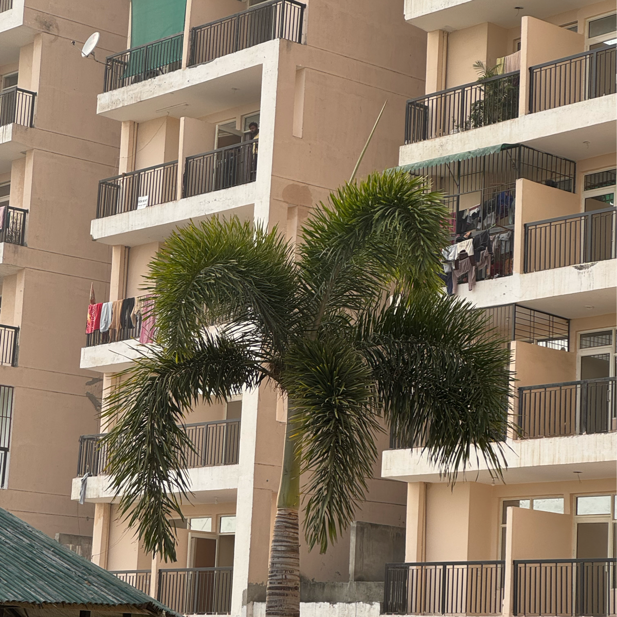 2 BHK + Pooja Room Apartment For Rent in Eureka Diya Green City