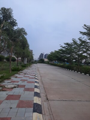  Plot – Exterior View View at Orris Woodview Residencies, Sector 89 - for Sale