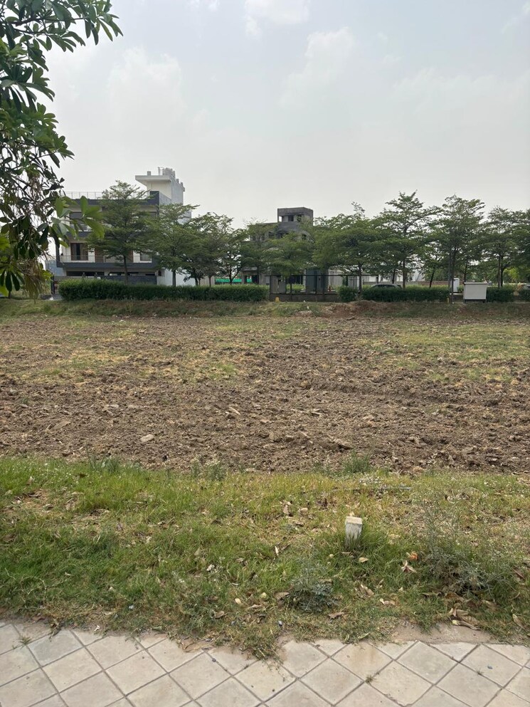 undefined, bptp-amstoria  250 Sq.Yd. Plot In Sector 102 Gurgaon 8872333