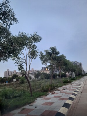  Plot – Exterior View View at Orris Woodview Residencies, Sector 89 - for Sale