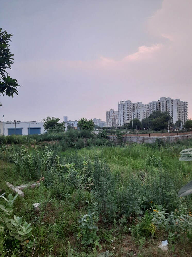Garden, orris-woodview-residencies  183 Sq.Yd. Plot In Sector 89 Gurgaon 8872403