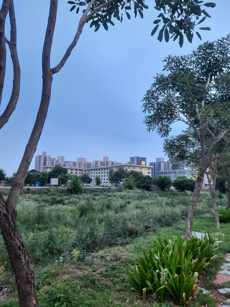 Garden, orris-woodview-residencies  183 Sq.Yd. Plot In Sector 89 Gurgaon 8872403