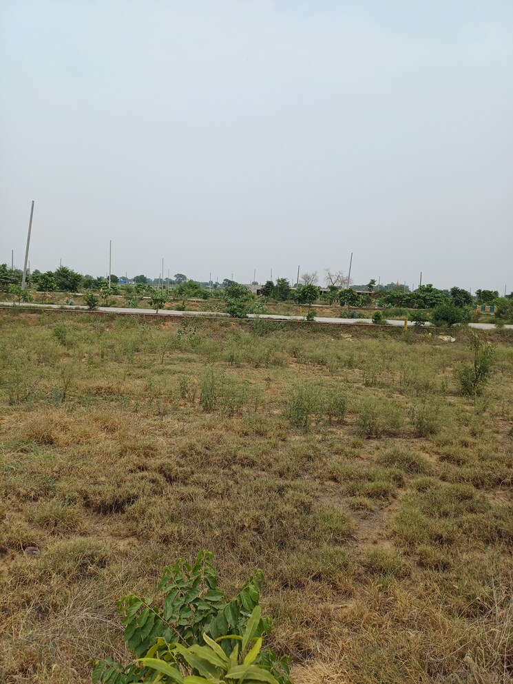 Garden, jewar  231 Sq.Yd. Plot In Jewar Greater Noida 8872806
