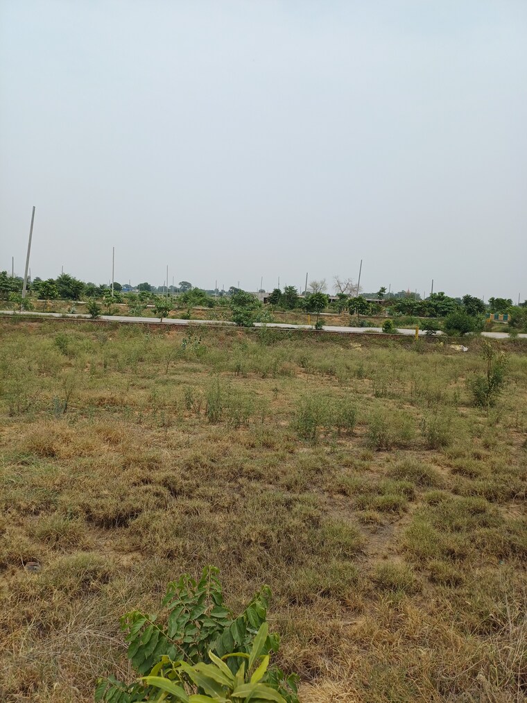 Garden, jewar  231 Sq.Yd. Plot In Jewar Greater Noida 8872806