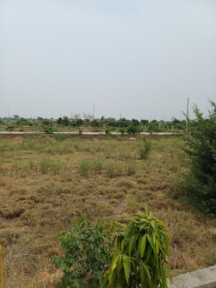 Garden, jewar  231 Sq.Yd. Plot In Jewar Greater Noida 8872806