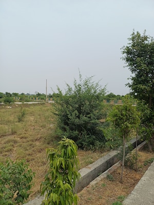  Plot – Garden View at Jewar - for Sale