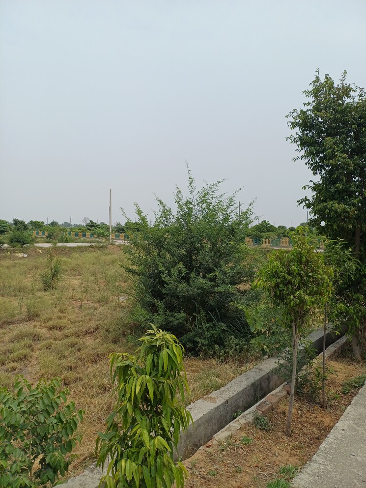 Garden, jewar  231 Sq.Yd. Plot In Jewar Greater Noida 8872806
