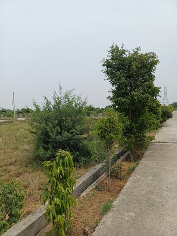  Plot For Sale in Jewar