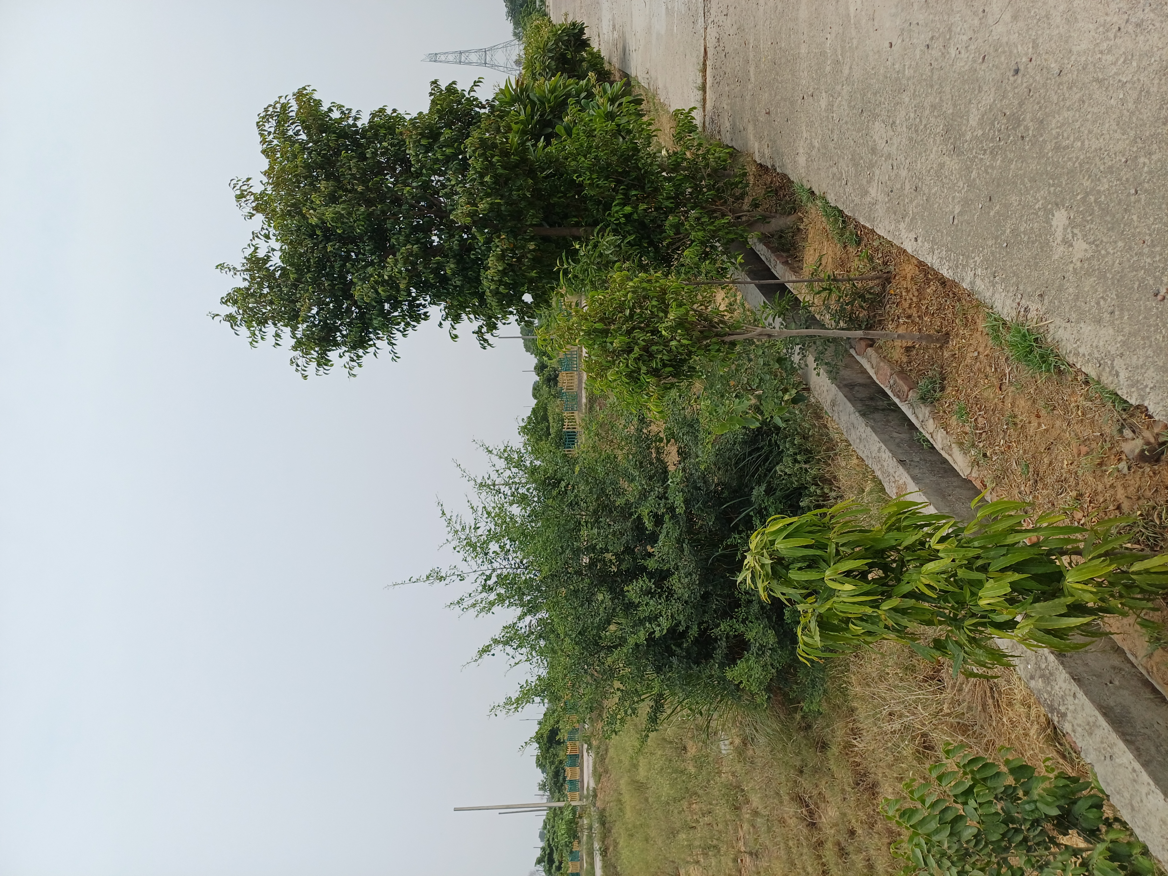 Plot For Sale in Harit City 