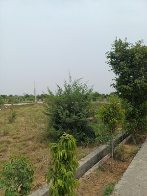  Plot For Sale in Jewar
