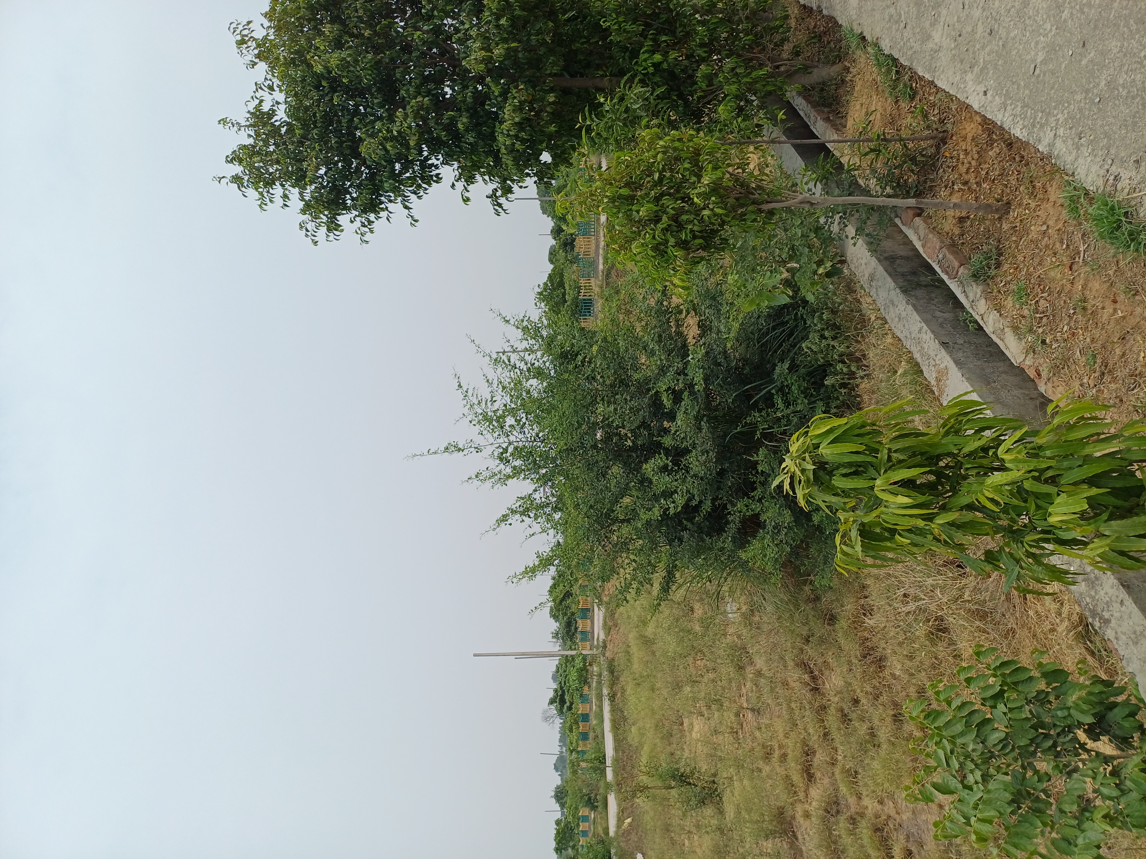 Plot For Sale in Jewar