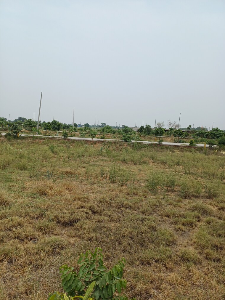 Garden, jewar  232 Sq.Yd. Plot In Jewar Greater Noida 8872809