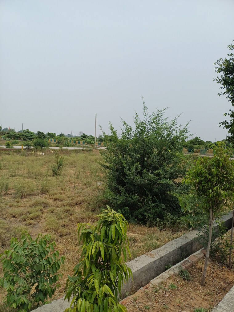 Garden, jewar  232 Sq.Yd. Plot In Jewar Greater Noida 8872809