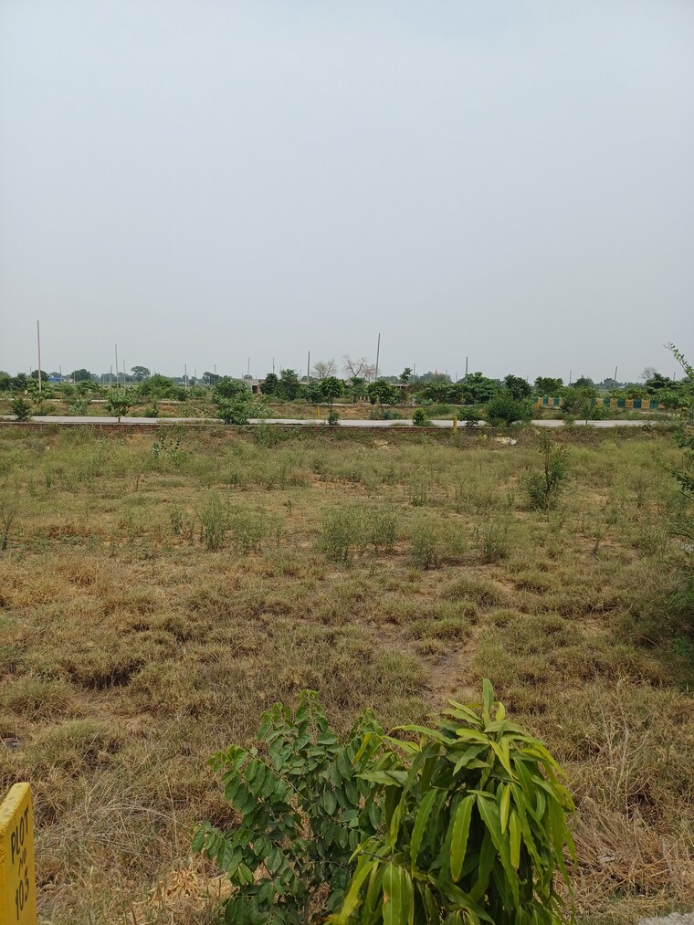 Garden, jewar  232 Sq.Yd. Plot In Jewar Greater Noida 8872809