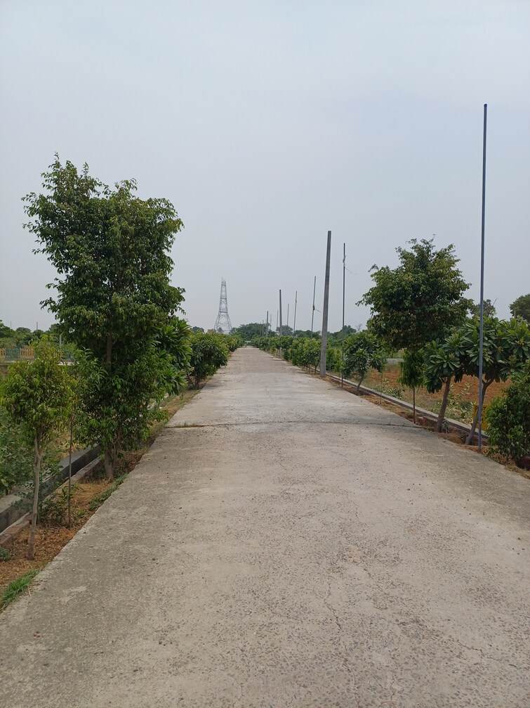 Cover Image, jewar  233 Sq.Yd. Plot In Jewar Greater Noida 8872815
