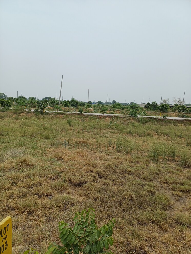 Garden, jewar  233 Sq.Yd. Plot In Jewar Greater Noida 8872815