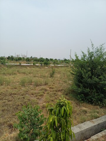  Plot – Garden View at Jewar - for Sale