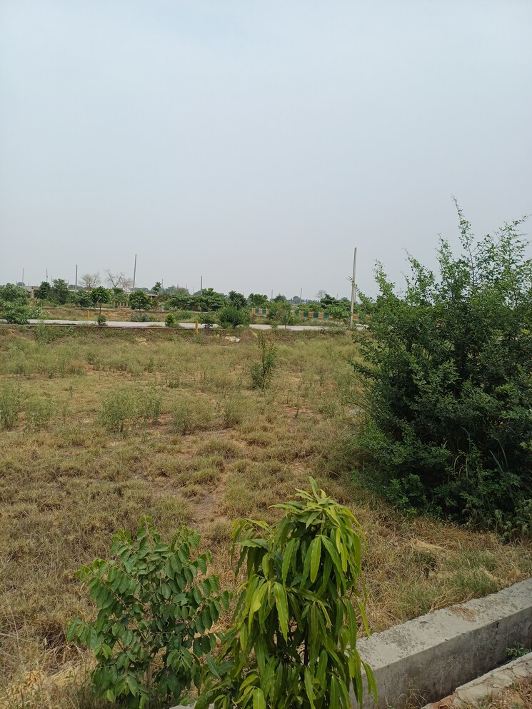 Garden, jewar  233 Sq.Yd. Plot In Jewar Greater Noida 8872815