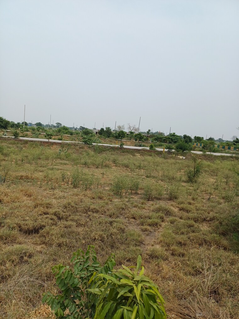 Garden, jewar  233 Sq.Yd. Plot In Jewar Greater Noida 8872815