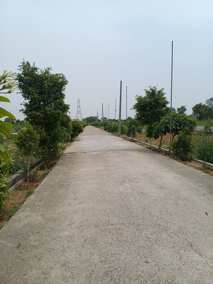 Exterior View, jewar  234 Sq.Yd. Plot In Jewar Greater Noida 8872822