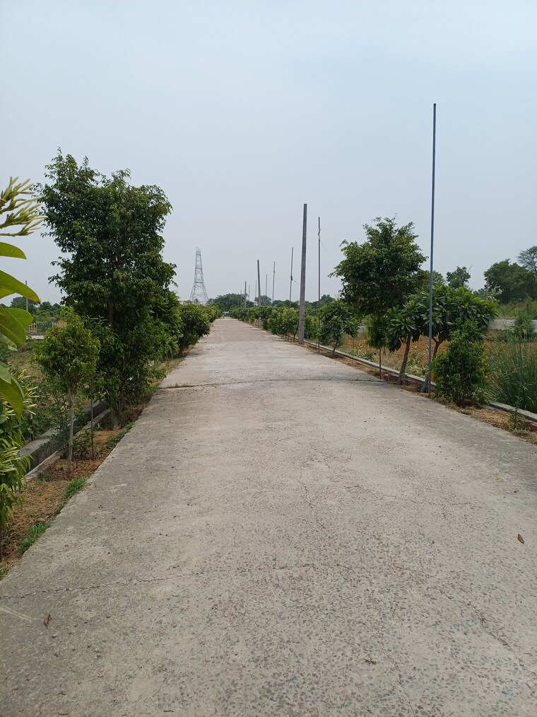 Exterior View, jewar  234 Sq.Yd. Plot In Jewar Greater Noida 8872822