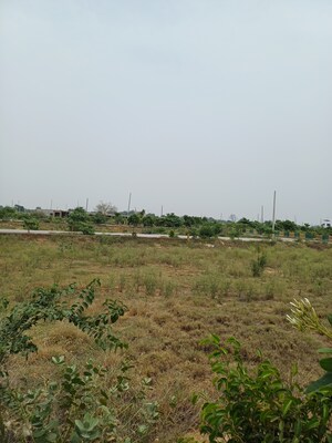  Plot – Garden View at Jewar - for Sale