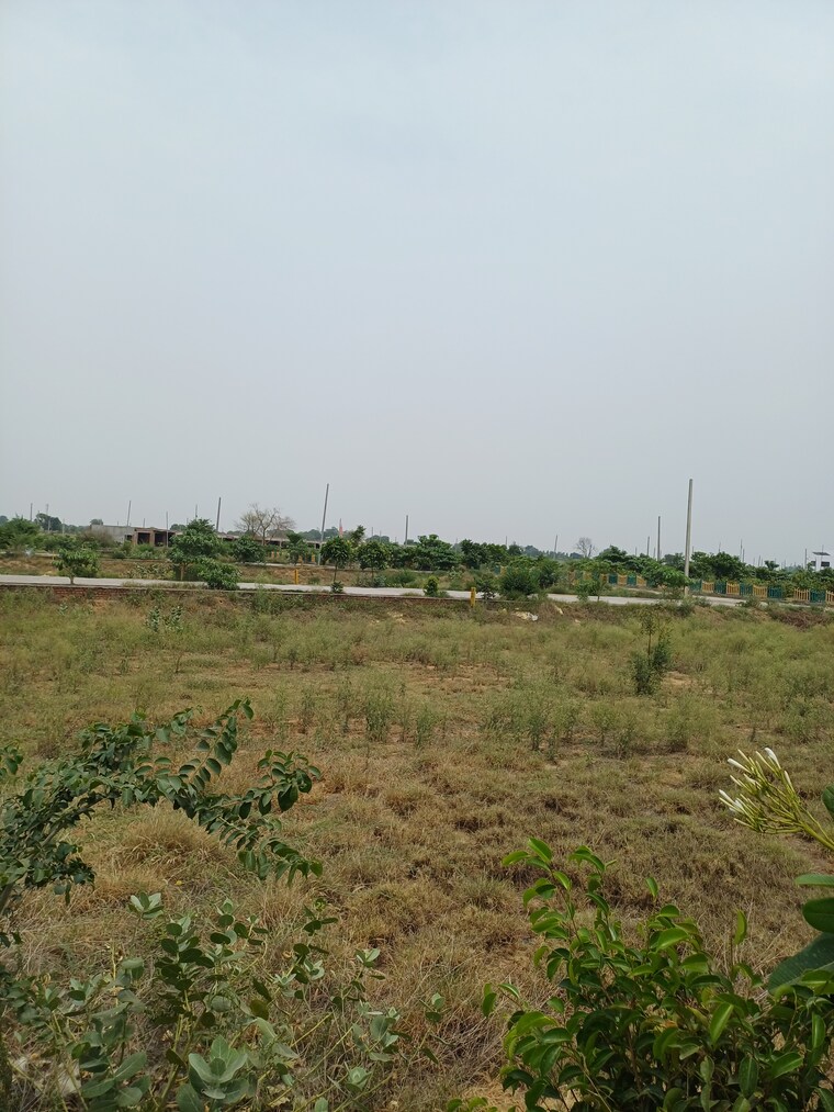 Garden, jewar  234 Sq.Yd. Plot In Jewar Greater Noida 8872822