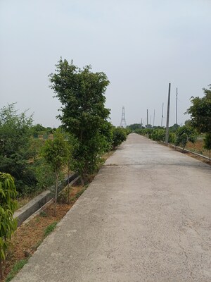  Plot For Sale in Jewar